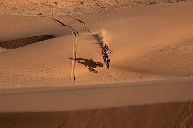 1768415133698038628.jpg 桑德罗.jpg