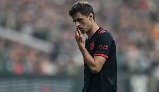 1683863279325060647.jpg 微信图片_20230512114650.jpg