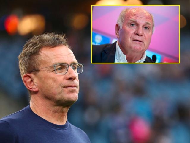 1676689948611050961.jpg 1676689905332.jpg